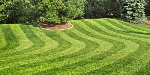Lawn Mowing, Lawn Care, Mowing Company, Grass Cutting, Free Estimate