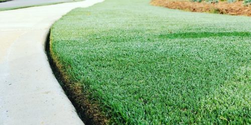 Lawn Mowing, Lawn Care, Mowing Company, Grass Cutting, Free Estimate