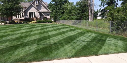 Lawn Mowing, Lawn Care, Mowing Company, Grass Cutting, Free Estimate
